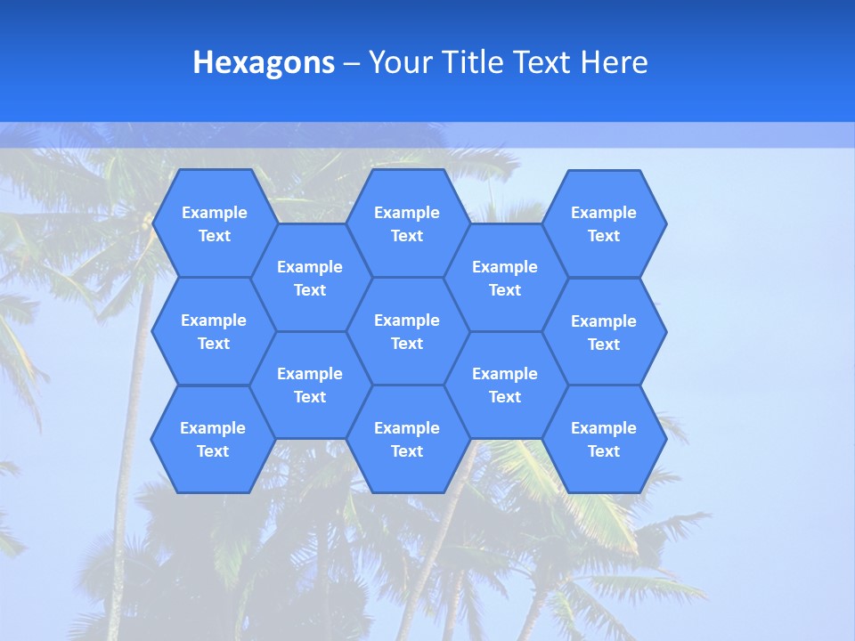 A Palm Tree On The Beach With The Ocean In The Background PowerPoint Template