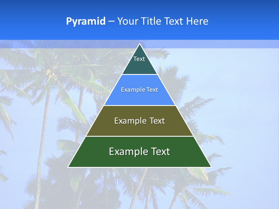 A Palm Tree On The Beach With The Ocean In The Background PowerPoint Template