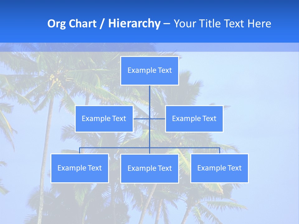 A Palm Tree On The Beach With The Ocean In The Background PowerPoint Template