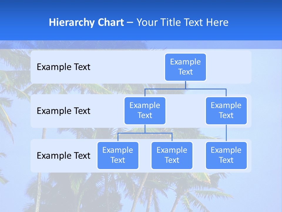 A Palm Tree On The Beach With The Ocean In The Background PowerPoint Template