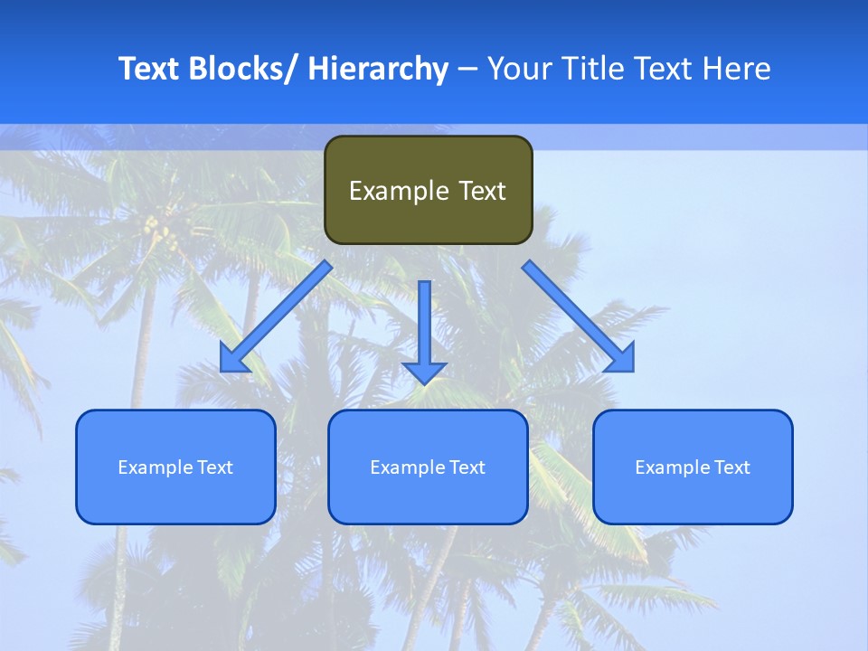 A Palm Tree On The Beach With The Ocean In The Background PowerPoint Template