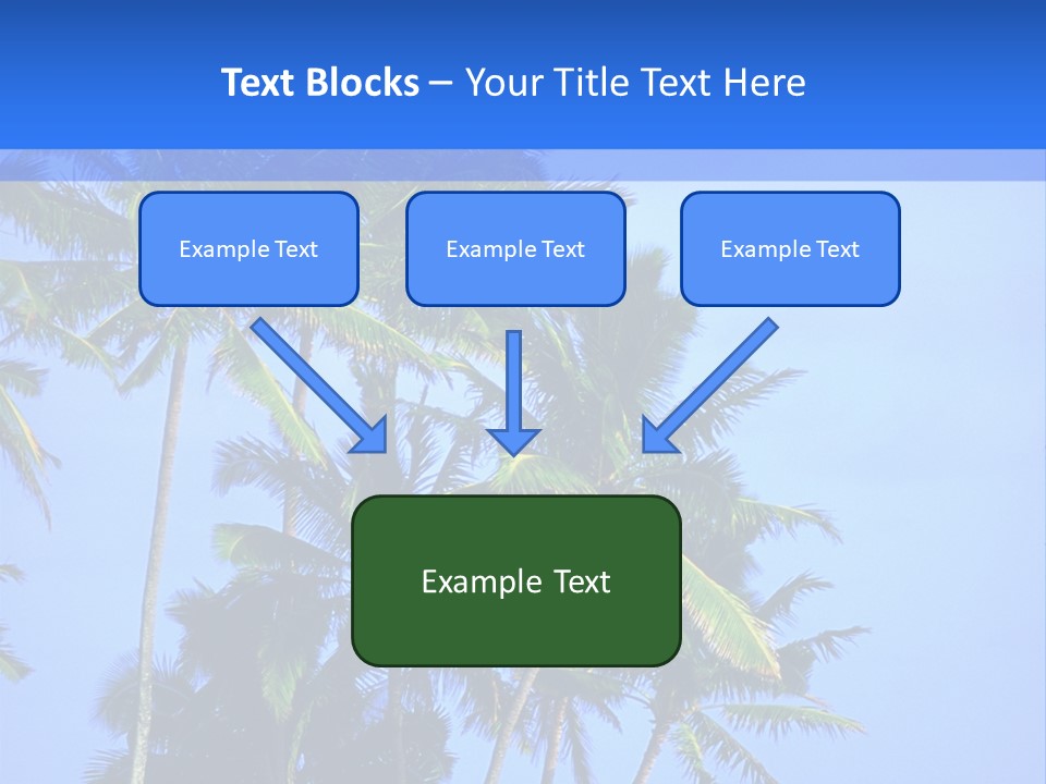 A Palm Tree On The Beach With The Ocean In The Background PowerPoint Template