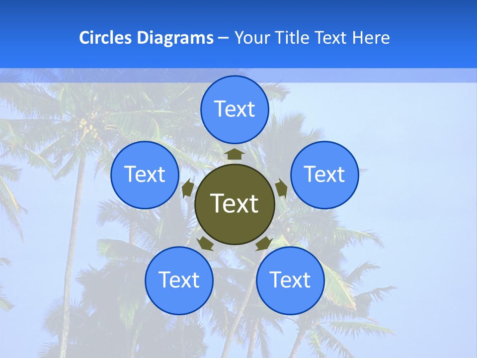 A Palm Tree On The Beach With The Ocean In The Background PowerPoint Template