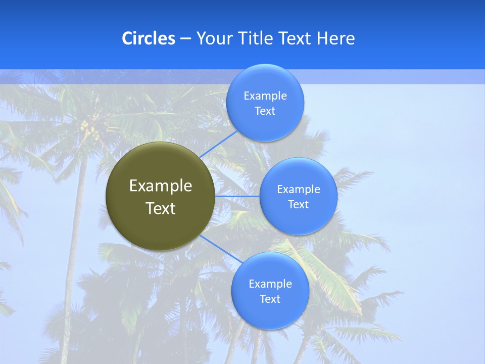 A Palm Tree On The Beach With The Ocean In The Background PowerPoint Template