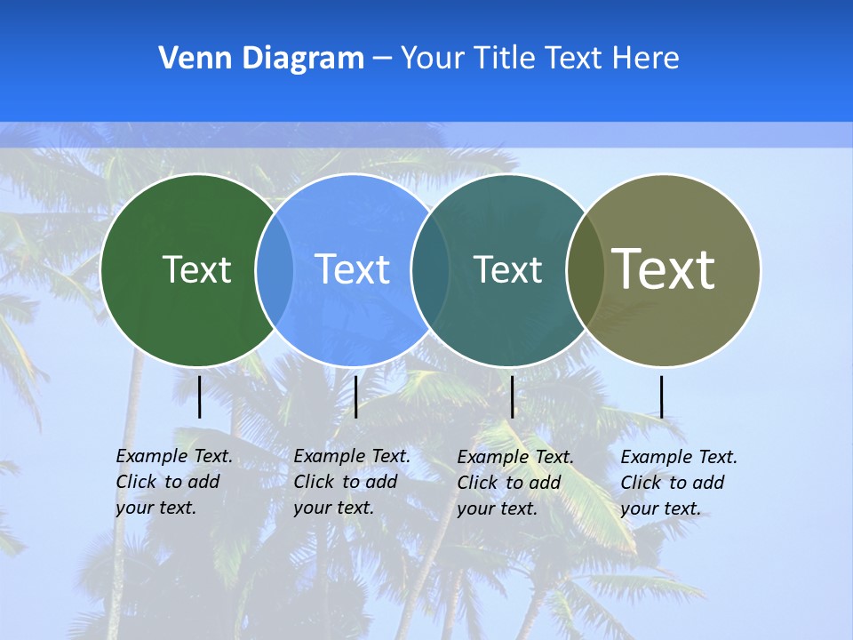 A Palm Tree On The Beach With The Ocean In The Background PowerPoint Template