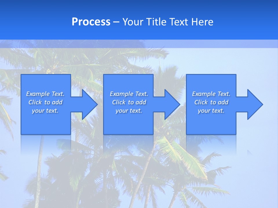 A Palm Tree On The Beach With The Ocean In The Background PowerPoint Template