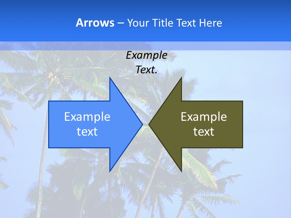 A Palm Tree On The Beach With The Ocean In The Background PowerPoint Template