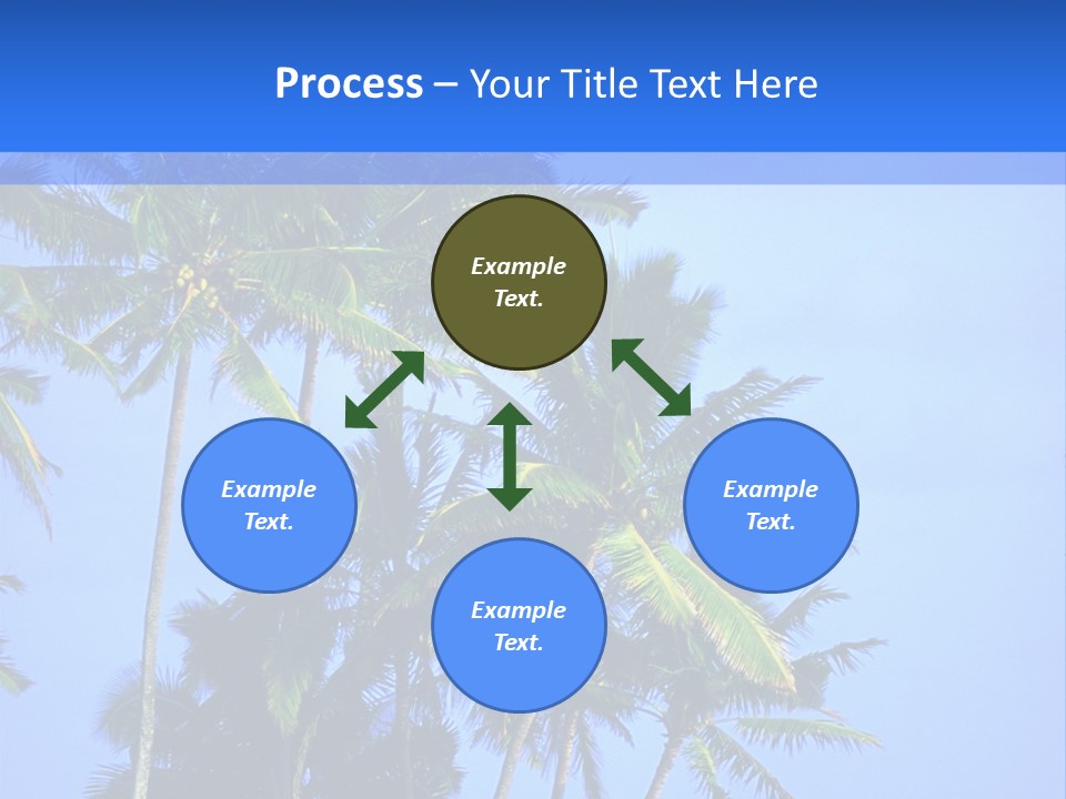 A Palm Tree On The Beach With The Ocean In The Background PowerPoint Template