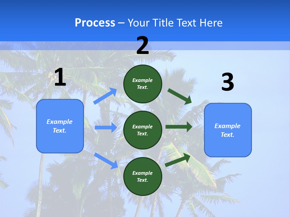 A Palm Tree On The Beach With The Ocean In The Background PowerPoint Template