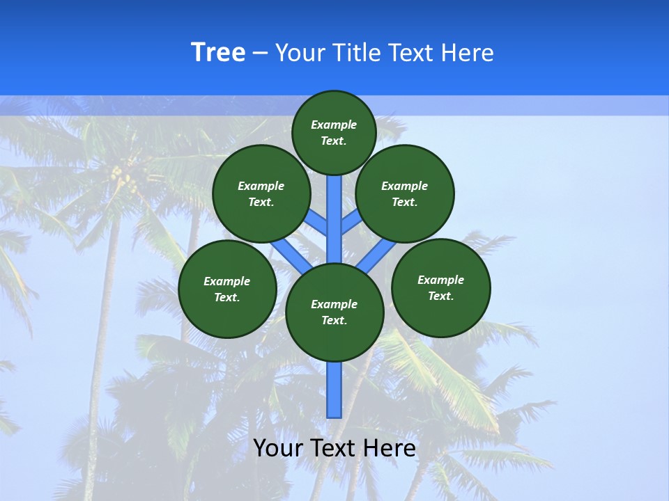 A Palm Tree On The Beach With The Ocean In The Background PowerPoint Template