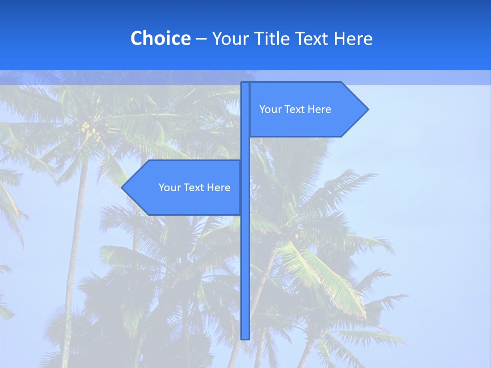 A Palm Tree On The Beach With The Ocean In The Background PowerPoint Template