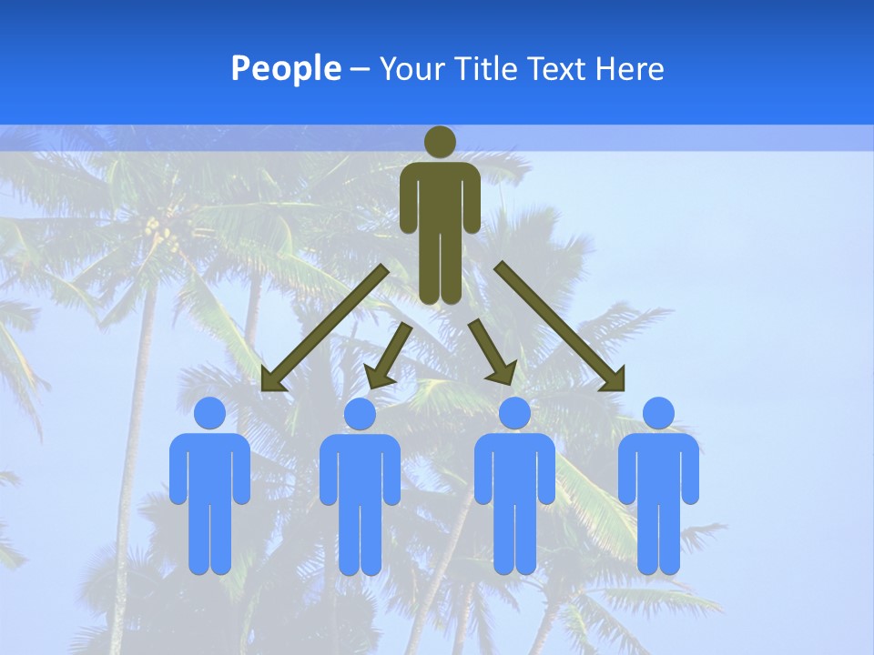 A Palm Tree On The Beach With The Ocean In The Background PowerPoint Template