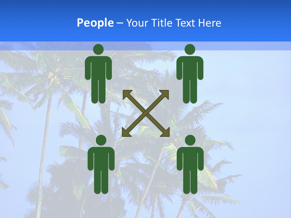 A Palm Tree On The Beach With The Ocean In The Background PowerPoint Template