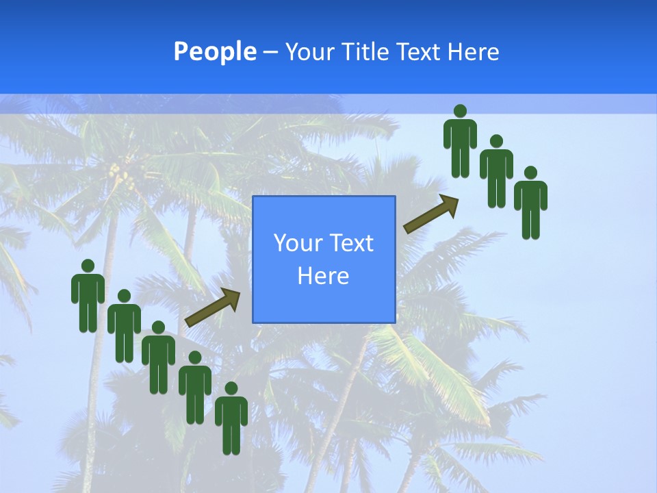 A Palm Tree On The Beach With The Ocean In The Background PowerPoint Template