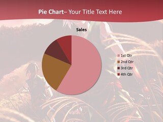 A Couple Of Anime Characters In A Field PowerPoint Template