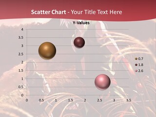 A Couple Of Anime Characters In A Field PowerPoint Template