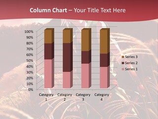 A Couple Of Anime Characters In A Field PowerPoint Template