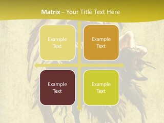 A Picture Of A Bird Sitting On Top Of A Plant PowerPoint Template