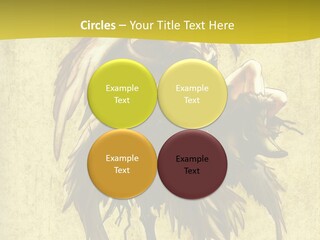 A Picture Of A Bird Sitting On Top Of A Plant PowerPoint Template