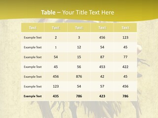 A Picture Of A Bird Sitting On Top Of A Plant PowerPoint Template