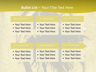 A Picture Of A Bird Sitting On Top Of A Plant PowerPoint Template