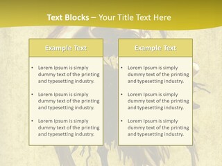 A Picture Of A Bird Sitting On Top Of A Plant PowerPoint Template
