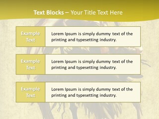 A Picture Of A Bird Sitting On Top Of A Plant PowerPoint Template