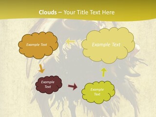 A Picture Of A Bird Sitting On Top Of A Plant PowerPoint Template