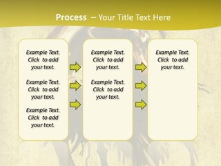 A Picture Of A Bird Sitting On Top Of A Plant PowerPoint Template