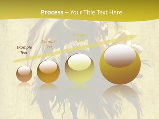 A Picture Of A Bird Sitting On Top Of A Plant PowerPoint Template