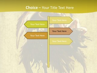 A Picture Of A Bird Sitting On Top Of A Plant PowerPoint Template