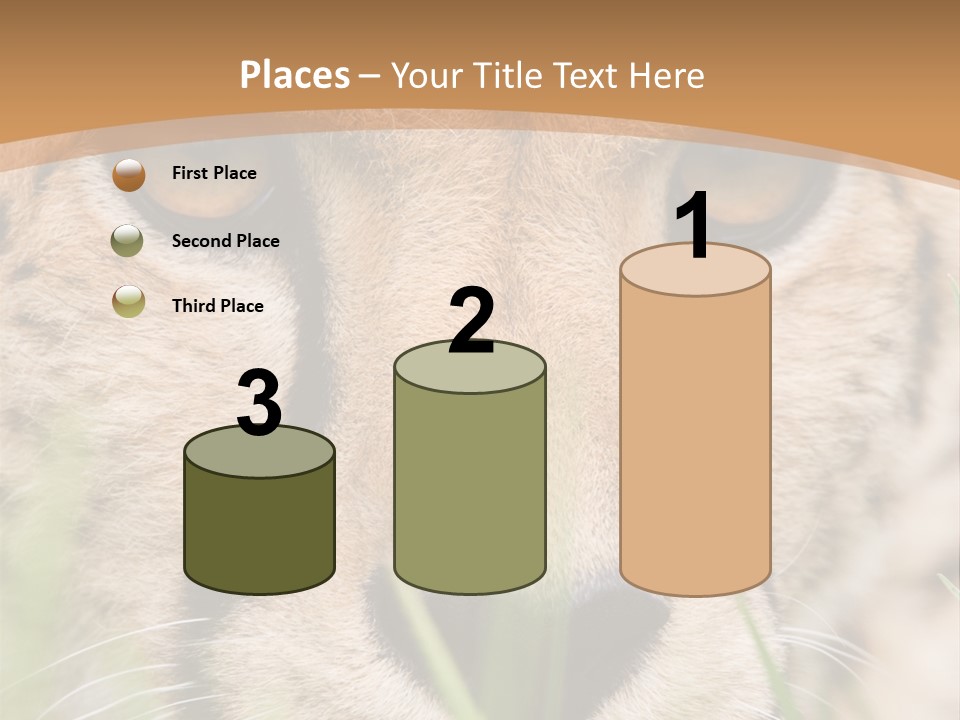 Cheetah Portrait PowerPoint Template