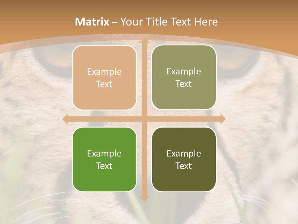 Cheetah Portrait PowerPoint Template