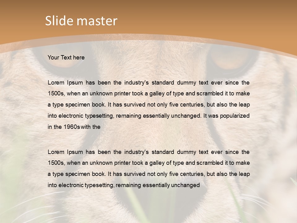 Cheetah Portrait PowerPoint Template