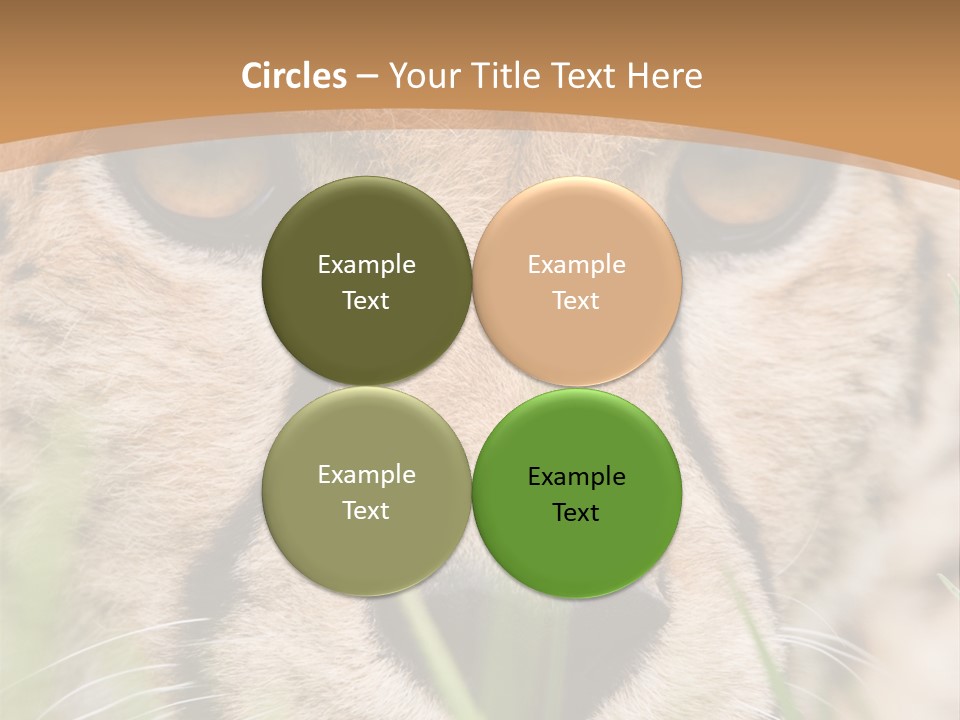 Cheetah Portrait PowerPoint Template