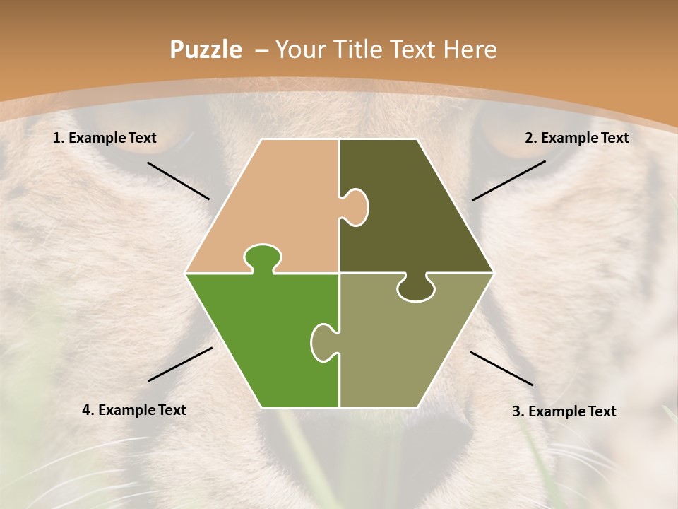 Cheetah Portrait PowerPoint Template