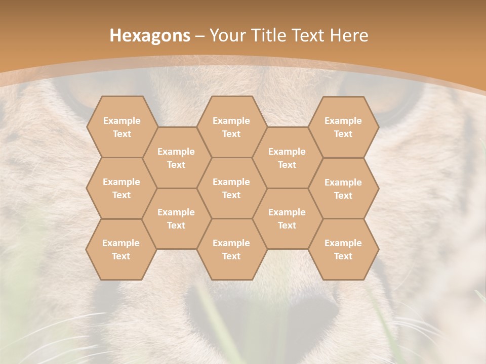 Cheetah Portrait PowerPoint Template