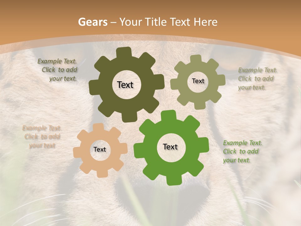 Cheetah Portrait PowerPoint Template