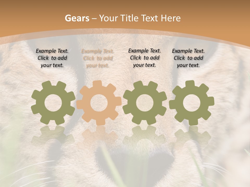 Cheetah Portrait PowerPoint Template