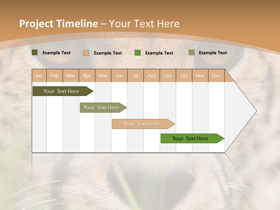 Cheetah Portrait PowerPoint Template