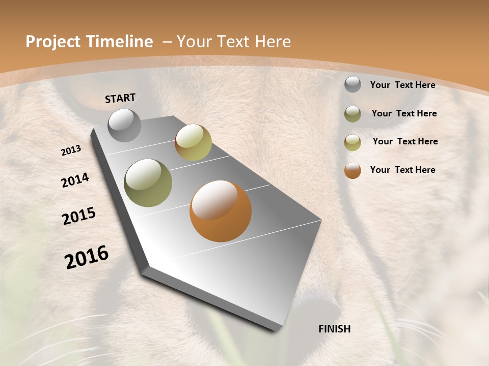 Cheetah Portrait PowerPoint Template