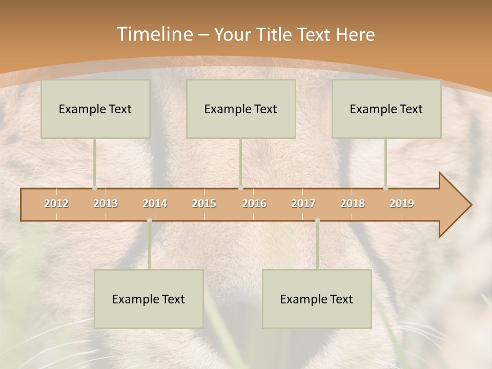 Cheetah Portrait PowerPoint Template