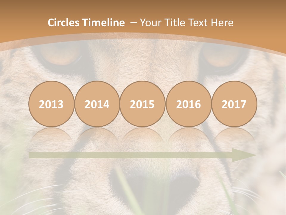Cheetah Portrait PowerPoint Template
