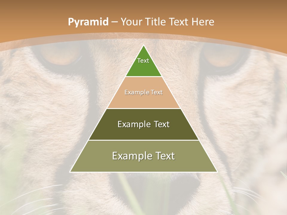 Cheetah Portrait PowerPoint Template