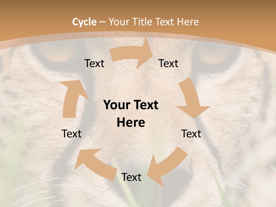 Cheetah Portrait PowerPoint Template