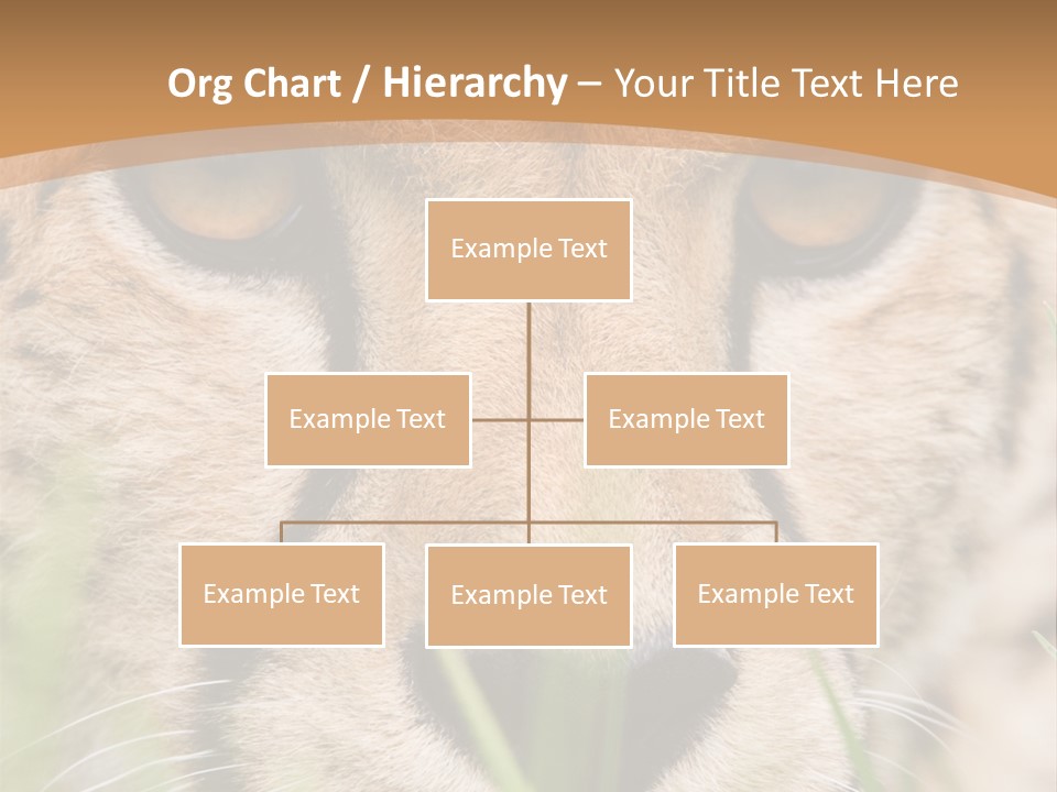 Cheetah Portrait PowerPoint Template