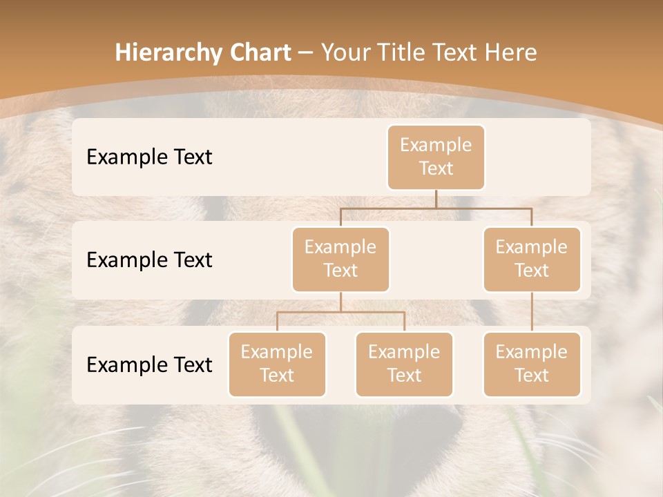 Cheetah Portrait PowerPoint Template