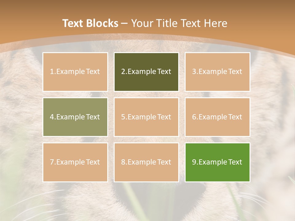 Cheetah Portrait PowerPoint Template