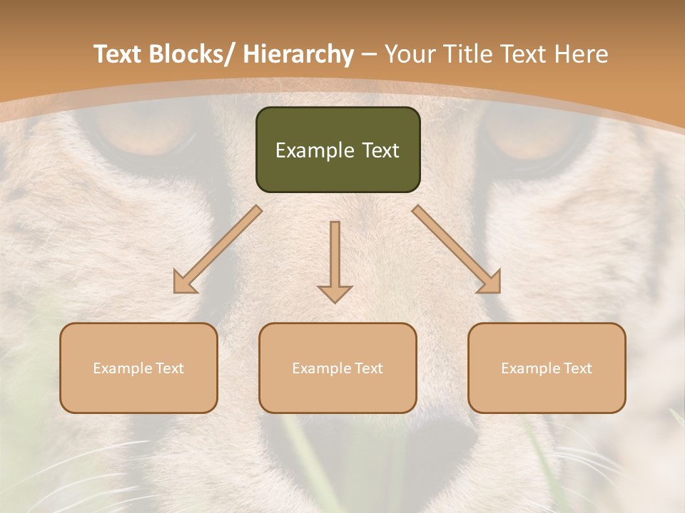 Cheetah Portrait PowerPoint Template