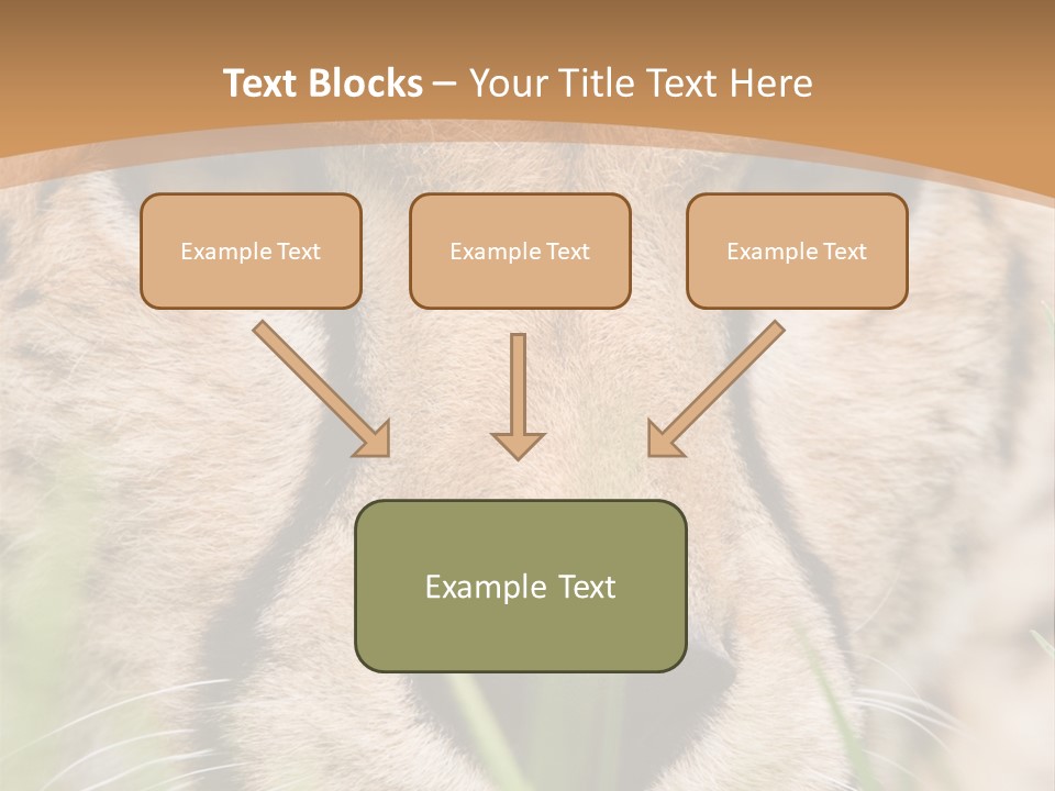 Cheetah Portrait PowerPoint Template